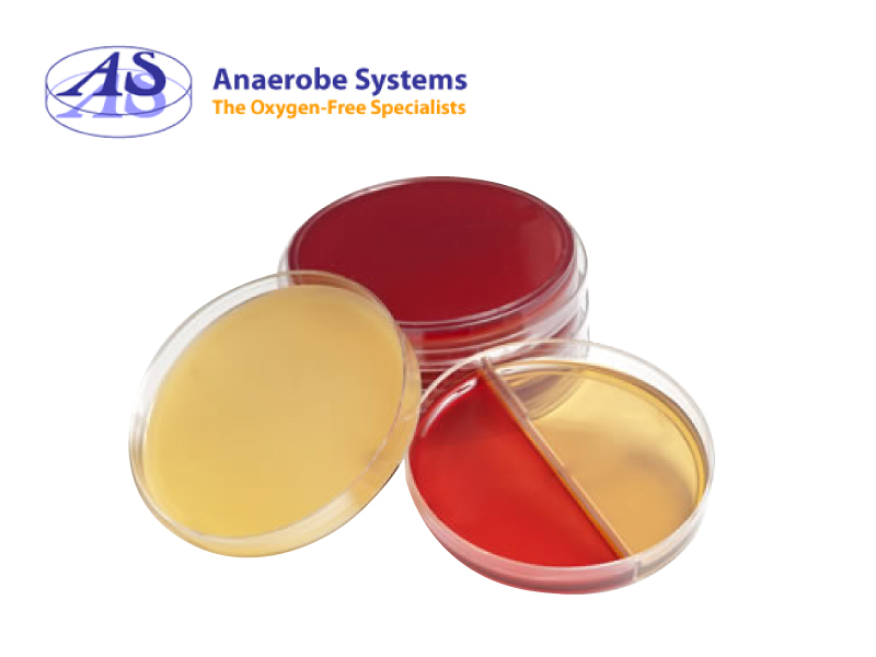 Anaerobe Systems
