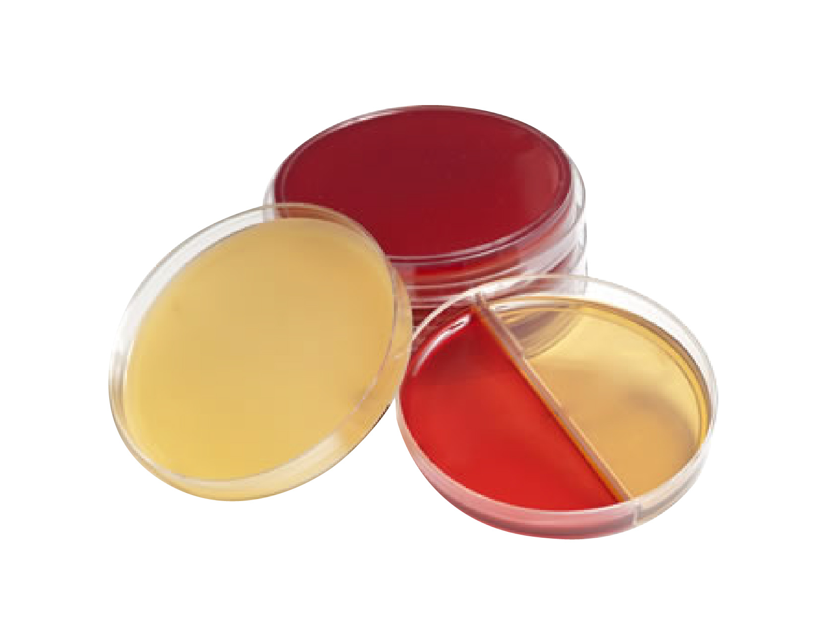 厭氧平板培養基