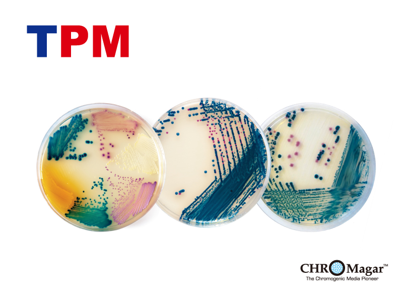 TPM 彩色現用培養基